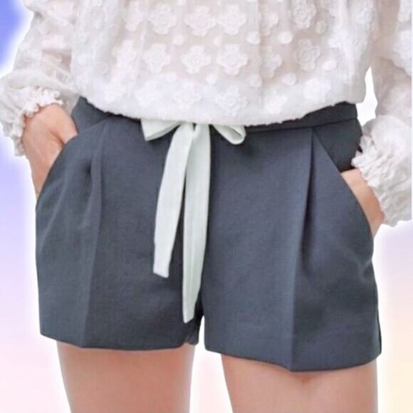 Wilfred Pants - WILFRED Aritzia Exergue Pleated Tie Front Crepe Short Sz 0